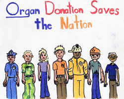 Organ Donor Poster Winner for 9th-12th Grade 2005. Poster title is Organ Donation Save the Nation
