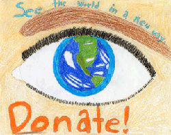 2012 Organ/Tissue Donor 6th-8th Grade Winner