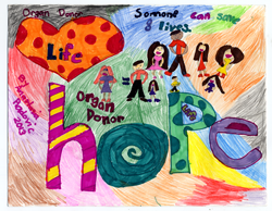 2014 Organ/Tissue Donor K-2nd Grade Winner