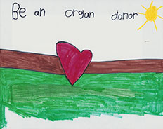 2024 Organ/Tissue Donor K-2nd Grade Winner